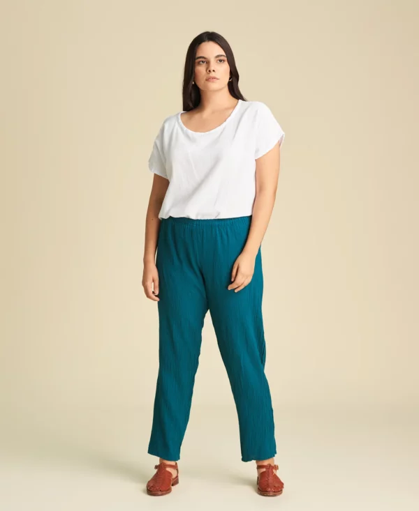 dolphine_cenote_01 Dolphin